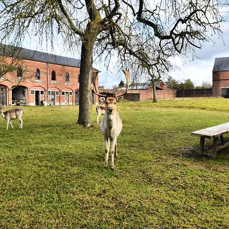 Hébergement de vacances Stylish With Sauna *